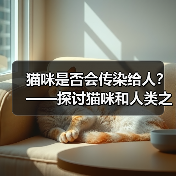 猫咪是否会传染给人?——探讨猫咪和人类之间的健康关系(图1) 猫咪是否会传染给人?——探讨猫咪和人类之间的健康关系(图1)