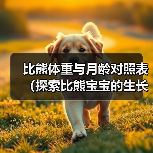 比熊体重与月龄对照表(探索比熊宝宝的生长规律,关注健康饲养)(图4) 比熊体重与月龄对照表(探索比熊宝宝的生长规律,关注健康饲养)(图4)