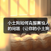 小土狗如何克服害怕人的问题(让你的小土狗摆脱恐惧,成为快乐的伙伴)(图1) 小土狗如何克服害怕人的问题(让你的小土狗摆脱恐惧,成为快乐的伙伴)(图1)