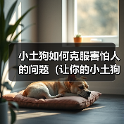 小土狗如何克服害怕人的问题(让你的小土狗摆脱恐惧,成为快乐的伙伴)(图3) 小土狗如何克服害怕人的问题(让你的小土狗摆脱恐惧,成为快乐的伙伴)(图3)