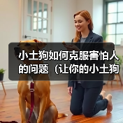 小土狗如何克服害怕人的问题(让你的小土狗摆脱恐惧,成为快乐的伙伴)(图2) 小土狗如何克服害怕人的问题(让你的小土狗摆脱恐惧,成为快乐的伙伴)(图2)