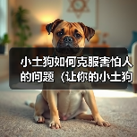 小土狗如何克服害怕人的问题(让你的小土狗摆脱恐惧,成为快乐的伙伴)(图4) 小土狗如何克服害怕人的问题(让你的小土狗摆脱恐惧,成为快乐的伙伴)(图4)