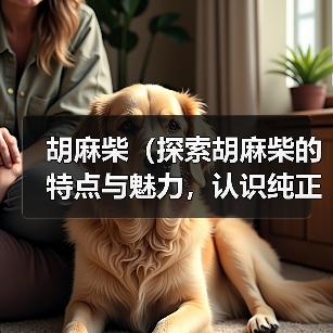 胡麻柴(探索胡麻柴的特点与魅力,认识纯正血统的柴犬之美)(图2) 胡麻柴(探索胡麻柴的特点与魅力,认识纯正血统的柴犬之美)(图2)