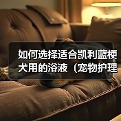 如何选择适合凯利蓝梗犬用的浴液（宠物护理必备，为你的凯利蓝梗犬提供最好的沐浴体验）（图4）
