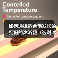 如何选择适合毛发长的狗狗的沐浴露(选对沐浴露,让狗狗的毛发更加健康)(图1) 如何选择适合毛发长的狗狗的沐浴露(选对沐浴露,让狗狗的毛发更加健康)(图1)