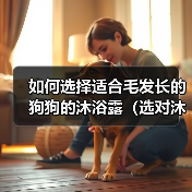 如何选择适合毛发长的狗狗的沐浴露(选对沐浴露,让狗狗的毛发更加健康)(图4) 如何选择适合毛发长的狗狗的沐浴露(选对沐浴露,让狗狗的毛发更加健康)(图4)