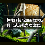 探秘阿拉斯加雪橇犬玩具(从宠物角度出发,了解不同类型雪橇犬玩具,提高宠物生活品质)(图2) 探秘阿拉斯加雪橇犬玩具(从宠物角度出发,了解不同类型雪橇犬玩具,提高宠物生活品质)(图2)