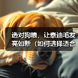 选对狗粮，让泰迪毛发亮如新（如何选择适合泰迪的狗粮）（图4）
