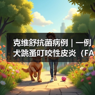 克维舒抗菌病例 | 一例犬跳蚤叮咬性皮炎(FAD)的病例分析(图3) 克维舒抗菌病例 | 一例犬跳蚤叮咬性皮炎(FAD)的病例分析(图3)
