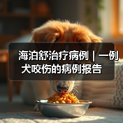 海泊舒治疗病例 | 一例犬咬伤的病例报告(图4) 海泊舒治疗病例 | 一例犬咬伤的病例报告(图4)