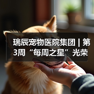 瑞辰宠物医院集团 | 第3周“每周之星”光荣榜(图3) 瑞辰宠物医院集团 | 第3周“每周之星”光荣榜(图3)
