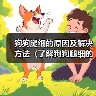 狗狗腿细的原因及解决方法(了解狗狗腿细的原因和如何改善)(图2) 狗狗腿细的原因及解决方法(了解狗狗腿细的原因和如何改善)(图2)