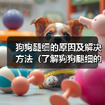 狗狗腿细的原因及解决方法(了解狗狗腿细的原因和如何改善)(图4) 狗狗腿细的原因及解决方法(了解狗狗腿细的原因和如何改善)(图4)