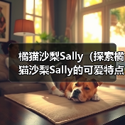 橘猫沙梨Sally(探索橘猫沙梨Sally的可爱特点和养育经验)(图2) 橘猫沙梨Sally(探索橘猫沙梨Sally的可爱特点和养育经验)(图2)
