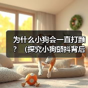 为什么小狗会一直打颤?(探究小狗颤抖背后的原因及解决方法)(图2) 为什么小狗会一直打颤?(探究小狗颤抖背后的原因及解决方法)(图2)