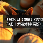 1月26日【重庆】(第125期)丨犬猫外科(高阶)班!含SUB(人人可实操)、乳糜胸等技术!(图3) 1月26日【重庆】(第125期)丨犬猫外科(高阶)班!含SUB(人人可实操)、乳糜胸等技术!(图3)
