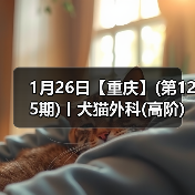 1月26日【重庆】(第125期)丨犬猫外科(高阶)班!含SUB(人人可实操)、乳糜胸等技术!(图1) 1月26日【重庆】(第125期)丨犬猫外科(高阶)班!含SUB(人人可实操)、乳糜胸等技术!(图1)