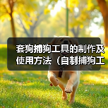 套狗捕狗工具的制作及使用方法(自制捕狗工具,有效解决流浪犬问题)(图4) 套狗捕狗工具的制作及使用方法(自制捕狗工具,有效解决流浪犬问题)(图4)