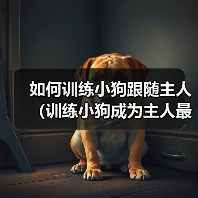 如何训练小狗跟随主人(训练小狗成为主人最忠诚的伙伴)(图4) 如何训练小狗跟随主人(训练小狗成为主人最忠诚的伙伴)(图4)