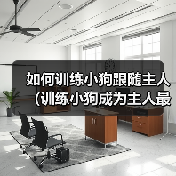 如何训练小狗跟随主人(训练小狗成为主人最忠诚的伙伴)(图1) 如何训练小狗跟随主人(训练小狗成为主人最忠诚的伙伴)(图1)