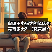 查理王小猎犬的体味究竟有多大?(究竟是个人主观感受还是确有差异?)(图4) 查理王小猎犬的体味究竟有多大?(究竟是个人主观感受还是确有差异?)(图4)