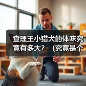 查理王小猎犬的体味究竟有多大?(究竟是个人主观感受还是确有差异?)(图1) 查理王小猎犬的体味究竟有多大?(究竟是个人主观感受还是确有差异?)(图1)