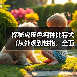 探秘虎皮色纯种比特犬(从外观到性格,全面揭秘虎皮色纯种比特犬的魅力)(图1) 探秘虎皮色纯种比特犬(从外观到性格,全面揭秘虎皮色纯种比特犬的魅力)(图1)