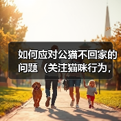 如何应对公猫不回家的问题（关注猫咪行为，建立安全环境）（图3）
