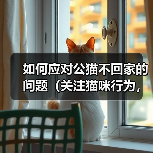 如何应对公猫不回家的问题（关注猫咪行为，建立安全环境）（图1）