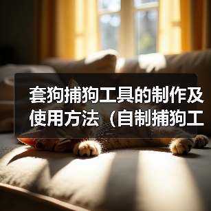 套狗捕狗工具的制作及使用方法(自制捕狗工具,有效解决流浪犬问题)(图1) 套狗捕狗工具的制作及使用方法(自制捕狗工具,有效解决流浪犬问题)(图1)