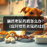 猫吃老鼠药后怎么办？（应对猫吃老鼠药吐白沫的有效方法）（图3）
