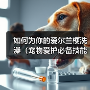 如何为你的爱尔兰梗洗澡（宠物爱护必备技能，学会正确给爱尔兰梗洗澡）（图2）