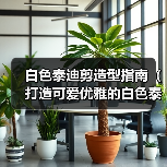 白色泰迪剪造型指南(打造可爱优雅的白色泰迪造型,让你的宠物成为众人焦点)(图1) 白色泰迪剪造型指南(打造可爱优雅的白色泰迪造型,让你的宠物成为众人焦点)(图1)