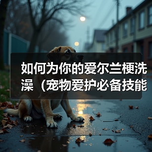如何为你的爱尔兰梗洗澡（宠物爱护必备技能，学会正确给爱尔兰梗洗澡）（图4）