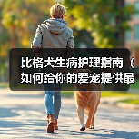 比格犬生病护理指南(如何给你的爱宠提供最好的照顾和护理?)(图1) 比格犬生病护理指南(如何给你的爱宠提供最好的照顾和护理?)(图1)