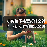 小狗生下来要打什么针？（初次养狗家长必读，宠物健康从“疫苗”开始！）（图3）