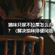 猫咪只尿不拉屎怎么办?(解决猫咪排便问题的有效方法)(图2) 猫咪只尿不拉屎怎么办?(解决猫咪排便问题的有效方法)(图2)