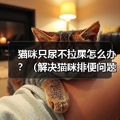 猫咪只尿不拉屎怎么办?(解决猫咪排便问题的有效方法)(图3) 猫咪只尿不拉屎怎么办?(解决猫咪排便问题的有效方法)(图3)