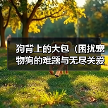 狗背上的大包(困扰宠物狗的难题与无尽关爱)(图4) 狗背上的大包(困扰宠物狗的难题与无尽关爱)(图4)