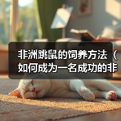 非洲跳鼠的饲养方法(如何成为一名成功的非洲跳鼠养殖者)(图4) 非洲跳鼠的饲养方法(如何成为一名成功的非洲跳鼠养殖者)(图4)