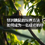 非洲跳鼠的饲养方法(如何成为一名成功的非洲跳鼠养殖者)(图3) 非洲跳鼠的饲养方法(如何成为一名成功的非洲跳鼠养殖者)(图3)