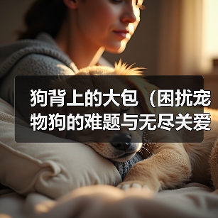 狗背上的大包(困扰宠物狗的难题与无尽关爱)(图2) 狗背上的大包(困扰宠物狗的难题与无尽关爱)(图2)