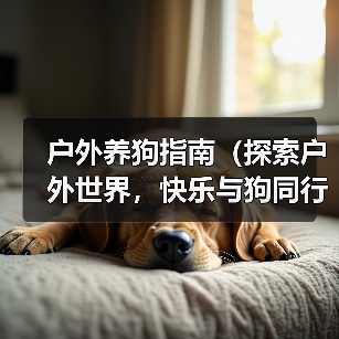 户外养狗指南（探索户外世界，快乐与狗同行）（图3）