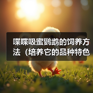 喋喋吸蜜鹦鹉的饲养方法(培养它的品种特色,让它成为你家的“明星鸟”)(图1) 喋喋吸蜜鹦鹉的饲养方法(培养它的品种特色,让它成为你家的“明星鸟”)(图1)
