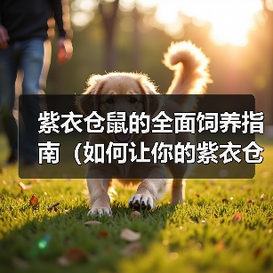 紫衣仓鼠的全面饲养指南(如何让你的紫衣仓鼠健康快乐成长?)(图1) 紫衣仓鼠的全面饲养指南(如何让你的紫衣仓鼠健康快乐成长?)(图1)