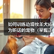 如何训练边境牧羊犬成为听话的宠物（掌握正确的训练技巧，让爱犬成为温顺听话的好伙伴）（图1）