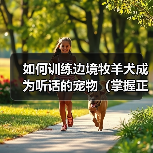如何训练边境牧羊犬成为听话的宠物（掌握正确的训练技巧，让爱犬成为温顺听话的好伙伴）（图2）