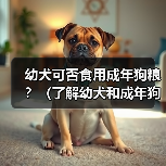 幼犬可否食用成年狗粮？（了解幼犬和成年狗粮的区别及选择）（图2）