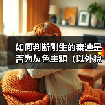 如何判断刚生的泰迪是否为灰色主题(以外貌、遗传和品种为依据的判断方法)(图3) 如何判断刚生的泰迪是否为灰色主题(以外貌、遗传和品种为依据的判断方法)(图3)