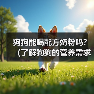狗狗能喝配方奶粉吗?(了解狗狗的营养需求和喂养方法)(图4) 狗狗能喝配方奶粉吗?(了解狗狗的营养需求和喂养方法)(图4)